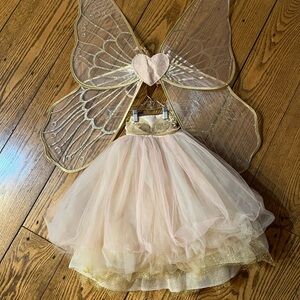 Pottery Barn Kids Butterfly Fairy Halloween Costume - Size 3T